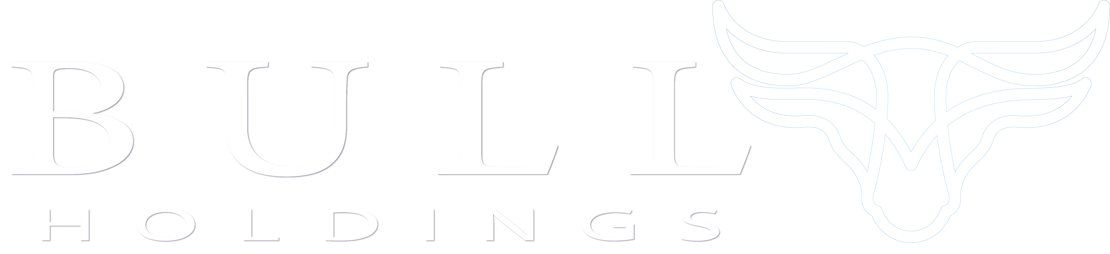 Bull Holdings